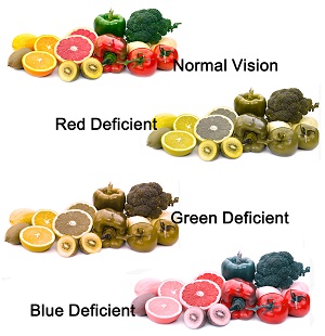 Color Blindness